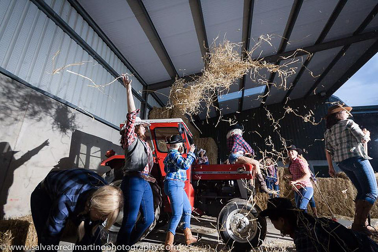 db6b6c_7243e7f32ce84722914b78f374602e23~mv2