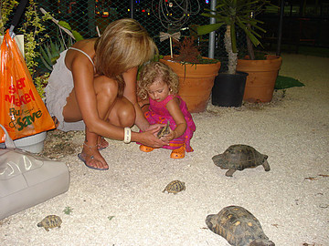 db6b6c_575bd74b392048b1a4fb6ee71d3ef9eb~mv2